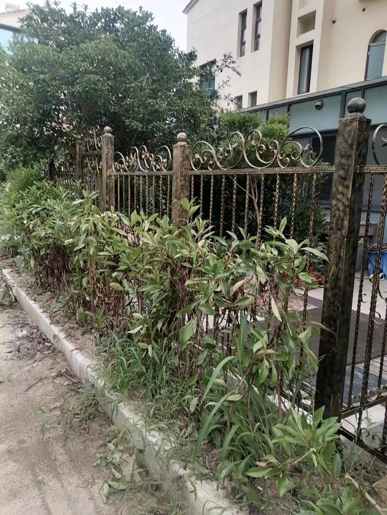 微信图片_20231120113756.jpg